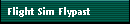 Flight Sim Flypast