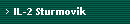 IL-2 Sturmovik